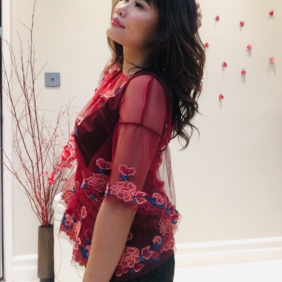 ✨NWOT Zara Women Floral Embroidery Maroon Mesh Top - Picture 4 of 8